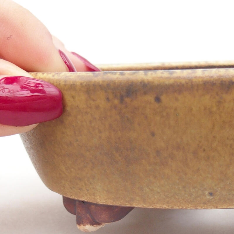 Ciotola per bonsai in ceramica 12,5 x 10 x 4 cm, verde