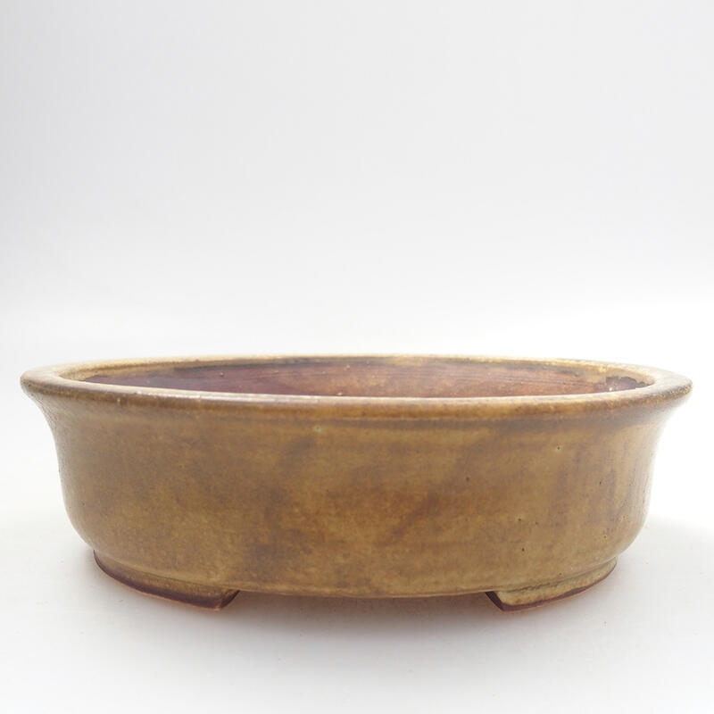 Ciotola per bonsai in ceramica 12,5 x 12 x 3,5 cm, marrone