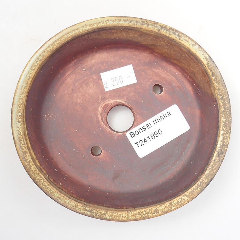 Ciotola per bonsai in ceramica 12,5 x 12 x 3,5 cm, marrone