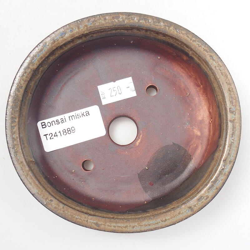 Ciotola per bonsai in ceramica 12,5 x 12 x 3,5 cm, marrone