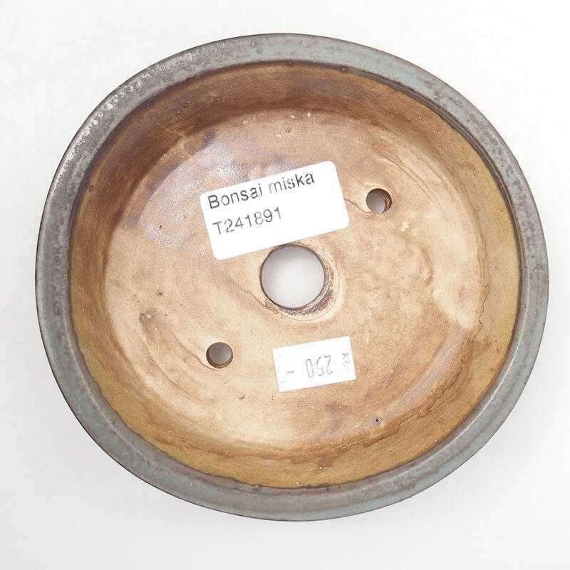 Ciotola per bonsai in ceramica 12,5 x 12 x 3,5 cm, colore blu