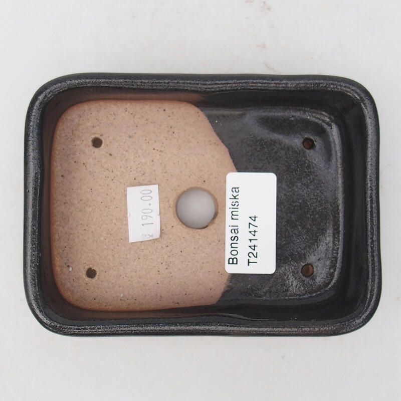 Ciotola bonsai in ceramica 12,5 x 9,5 x 3 cm, grigio