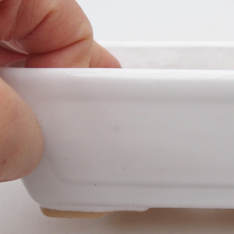 Ciotola per bonsai in ceramica 12,5 x 9,5 x 4,5 cm, colore bianco