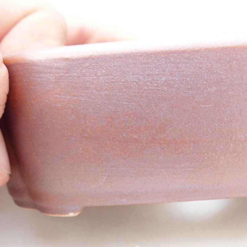Ciotola per bonsai in ceramica 12,5 x 9,5 x 4,5 cm, marrone