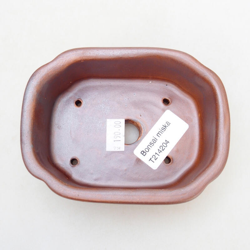 Ciotola per bonsai in ceramica 12,5 x 9,5 x 4,5 cm, marrone