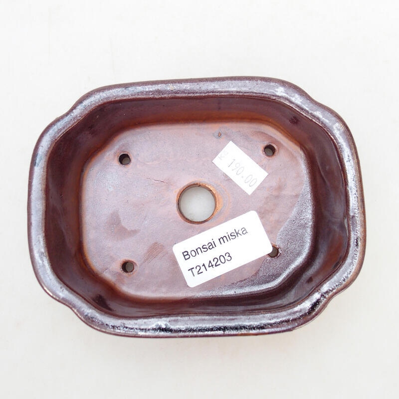 Ciotola per bonsai in ceramica 12,5 x 9,5 x 4,5 cm, colore marrone-nero