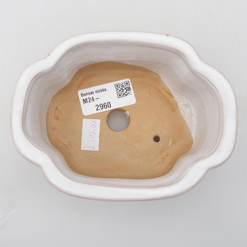 Ciotola per bonsai in ceramica 12,5 x 9,5 x 5 cm, verde