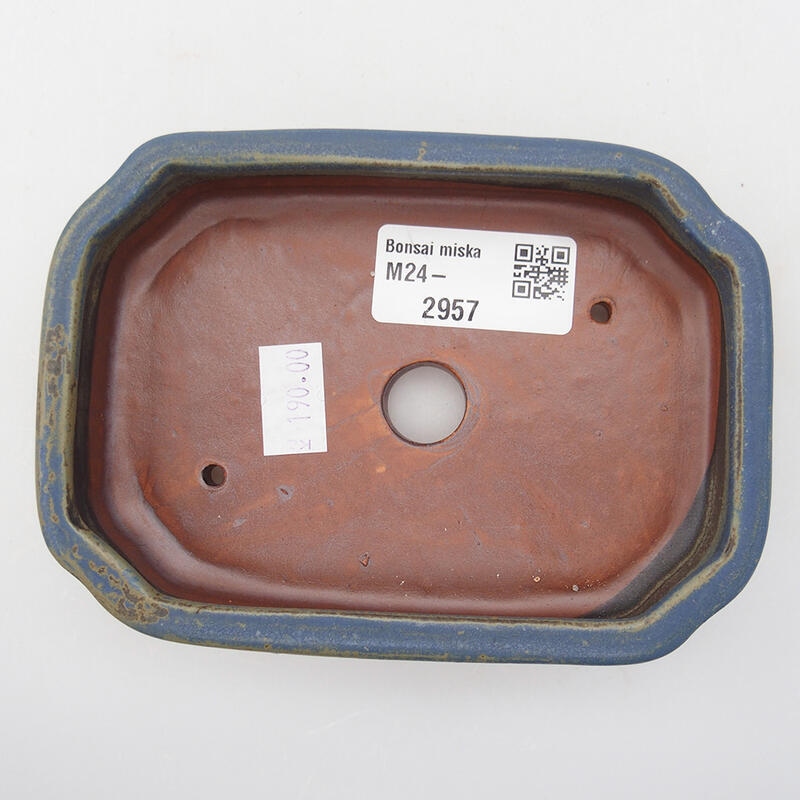 Ciotola per bonsai in ceramica 12,5 x 9 x 2,5 cm, colore blu