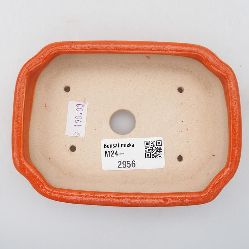 Ciotola per bonsai in ceramica 12,5 x 9 x 2,5 cm, arancione
