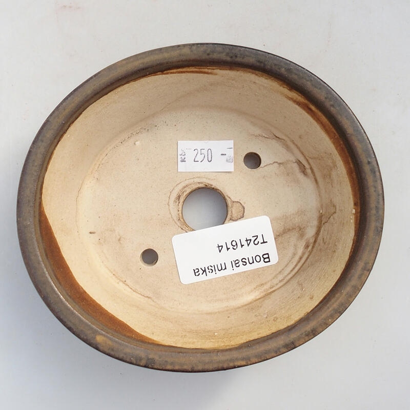 Ciotola per bonsai in ceramica 12 x 10,5 x 3,5 cm, marrone