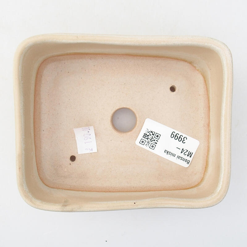 Ciotola per bonsai in ceramica 12 x 10 x 4 cm, colore beige