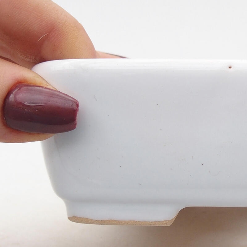 Ciotola per bonsai in ceramica 12 x 10 x 4 cm, colore bianco