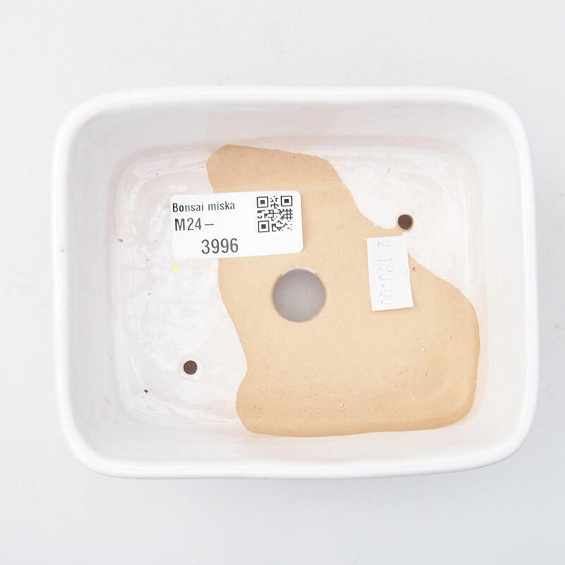 Ciotola per bonsai in ceramica 12 x 10 x 4 cm, colore bianco