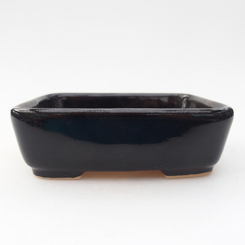 Ciotola per bonsai in ceramica 12 x 10 x 4 cm, nero