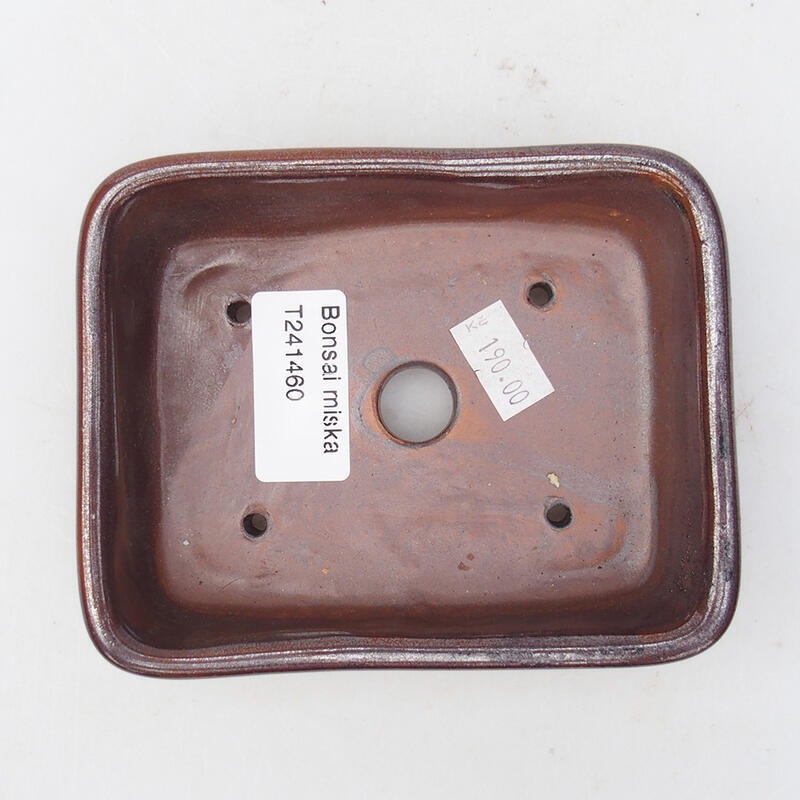 Ciotola per bonsai in ceramica 12 x 10 x 4 cm, marrone