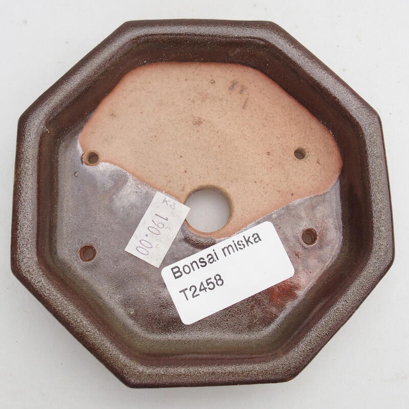 Ciotola per bonsai in ceramica 12 x 11,5 x 2 cm, marrone