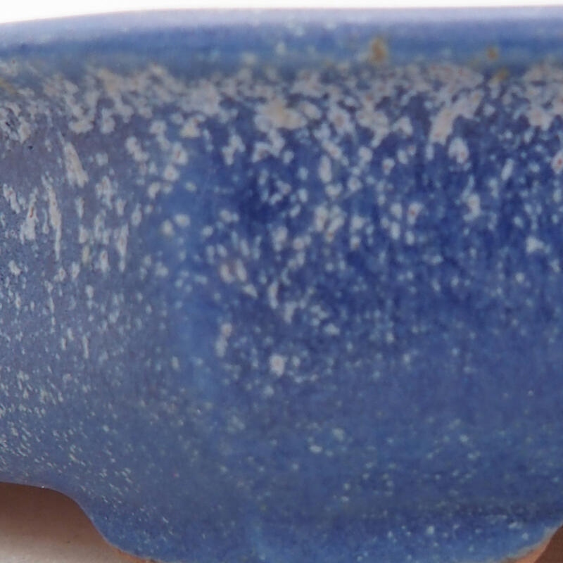 Ciotola per bonsai in ceramica 12 x 12 x 2,5 cm, colore blu