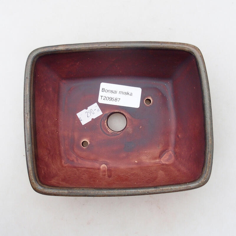 Ciotola per bonsai in ceramica 12 x 15 x 6 cm, marrone