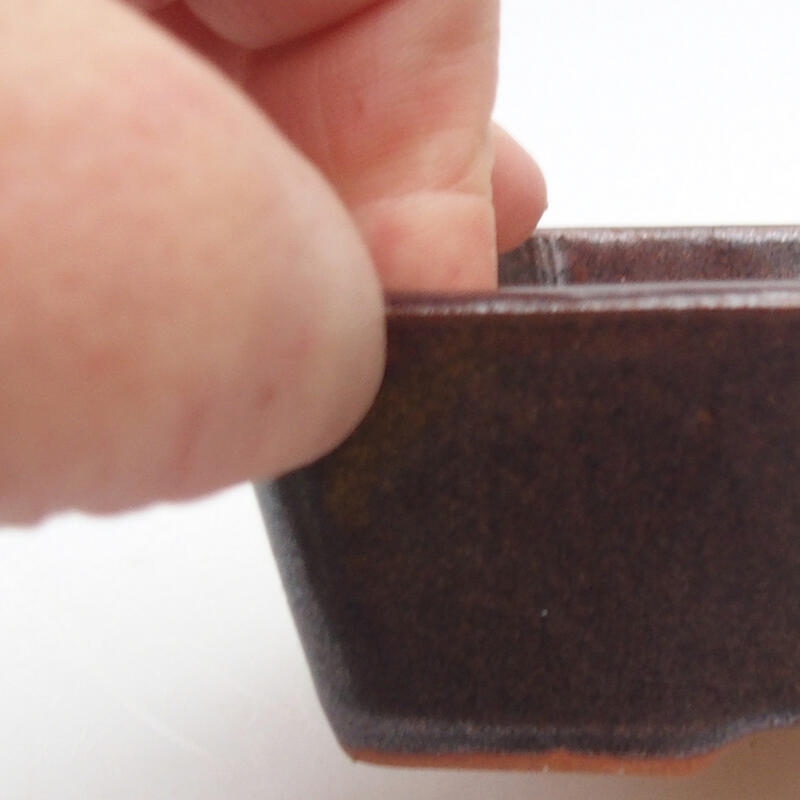 Ciotola per bonsai in ceramica 12 x 8,5 x 3,5 cm, marrone