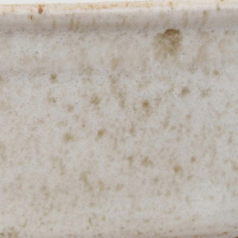 Ciotola per bonsai in ceramica 12 x 8,5 x 4,5 cm, bianco