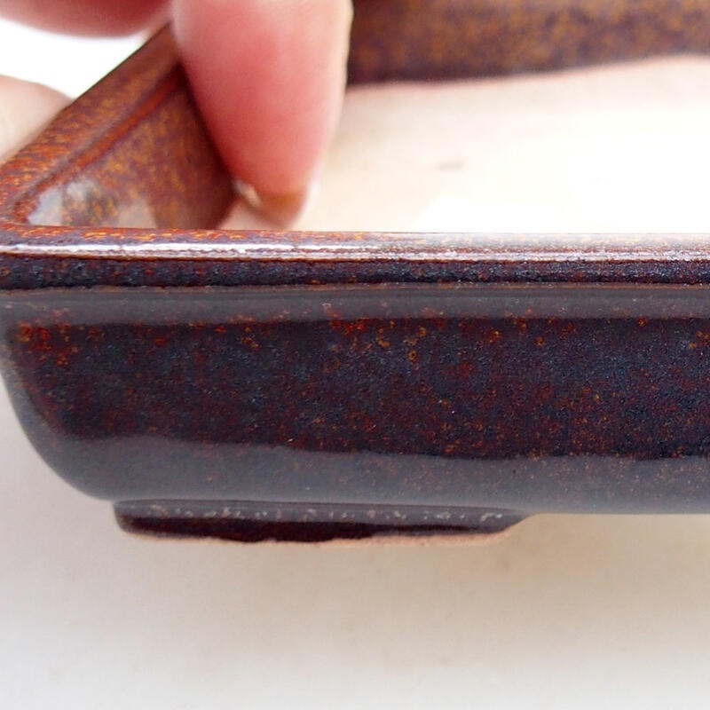 Ciotola per bonsai in ceramica 12 x 9,5 x 2,5 cm, marrone