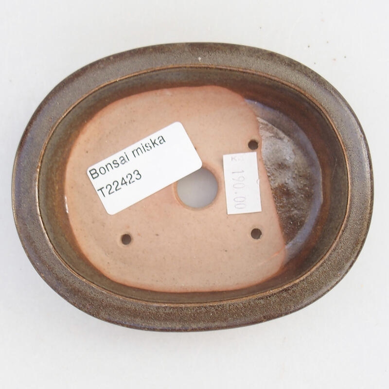 Ciotola per bonsai in ceramica 12 x 9,5 x 3 cm, marrone