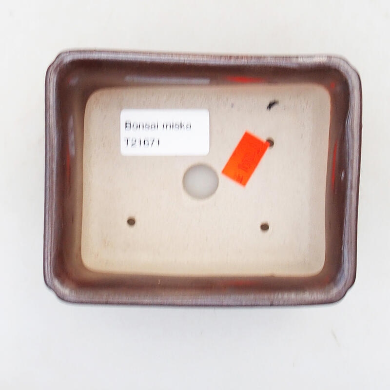 Ciotola per bonsai in ceramica 12 x 9,5 x 4,5 cm, marrone