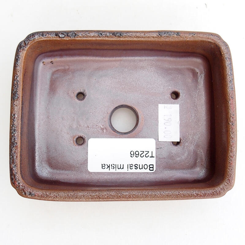Ciotola per bonsai in ceramica 12 x 9 x 3,5 cm, marrone