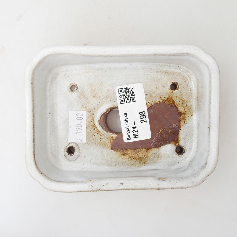 Ciotola per bonsai in ceramica 12 x 9 x 3 cm, bianca