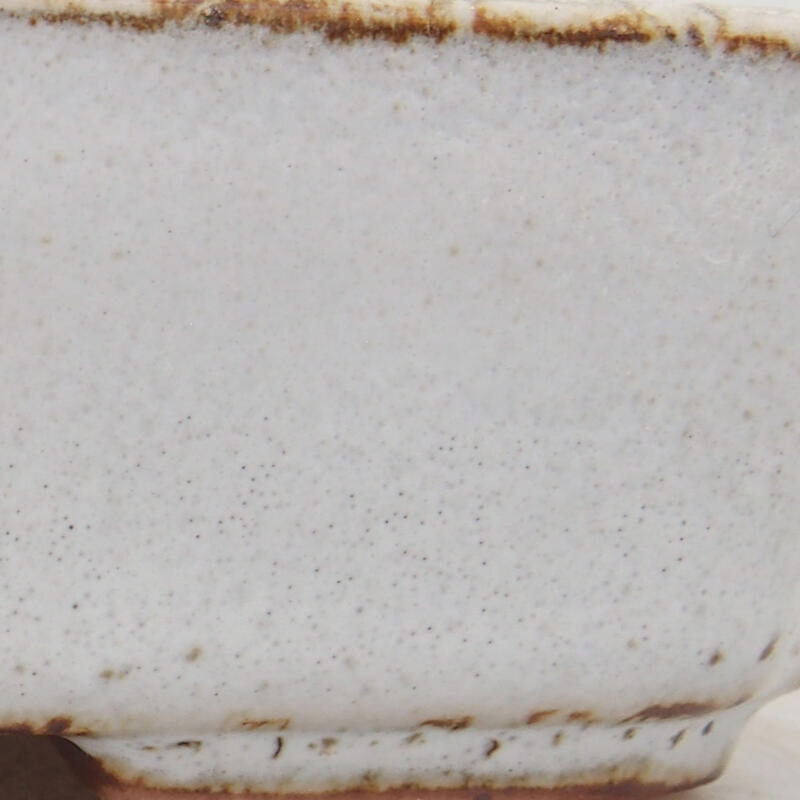 Ciotola per bonsai in ceramica 12 x 9 x 3 cm, bianca