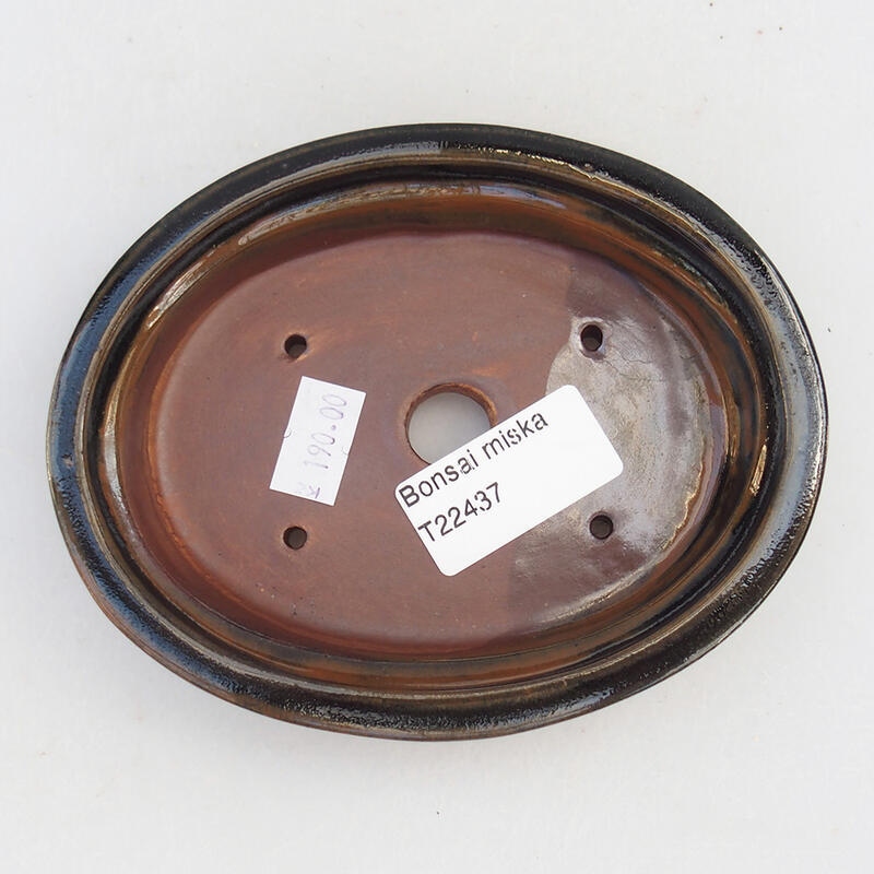 Ciotola per bonsai in ceramica 13,5 x 10,5 x 3 cm, nero-marrone