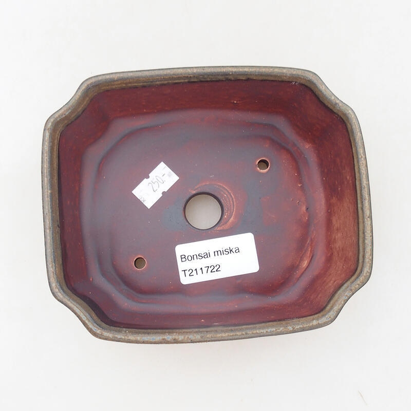 Ciotola per bonsai in ceramica 13,5 x 11,5 x 4,5 cm, marrone