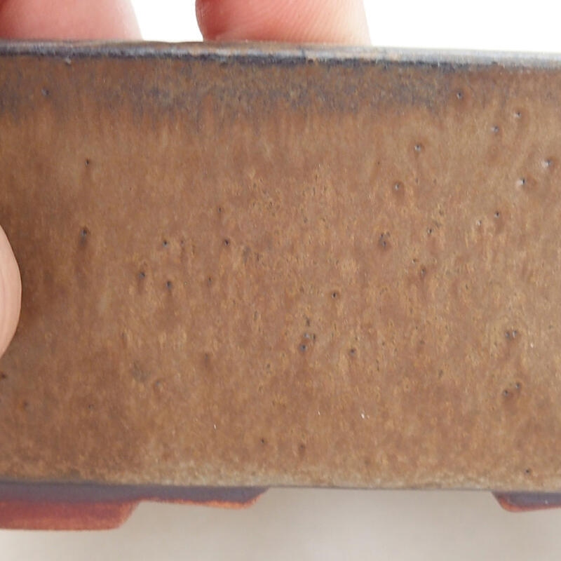 Ciotola per bonsai in ceramica 13,5 x 11,5 x 4,5 cm, marrone