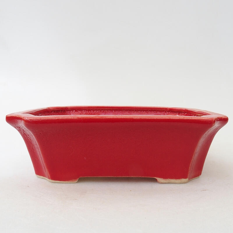 Ciotola per bonsai in ceramica 13,5 x 11 x 4,5 cm, colore rosso