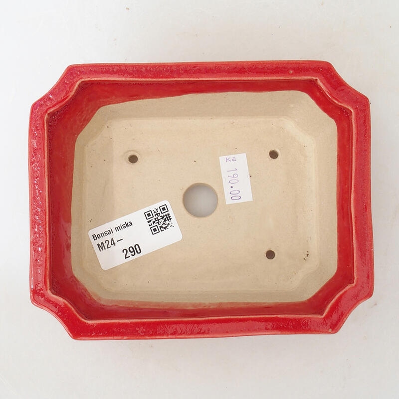 Ciotola per bonsai in ceramica 13,5 x 11 x 4,5 cm, colore rosso