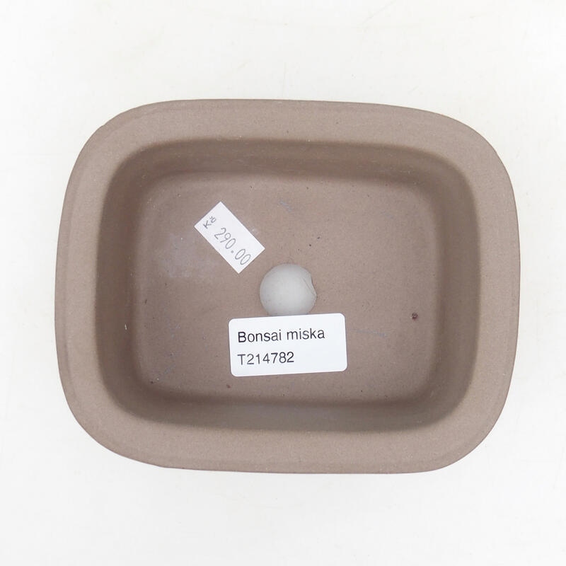 Ciotola per bonsai in ceramica 13,5 x 11 x 5,5 cm, colore nero