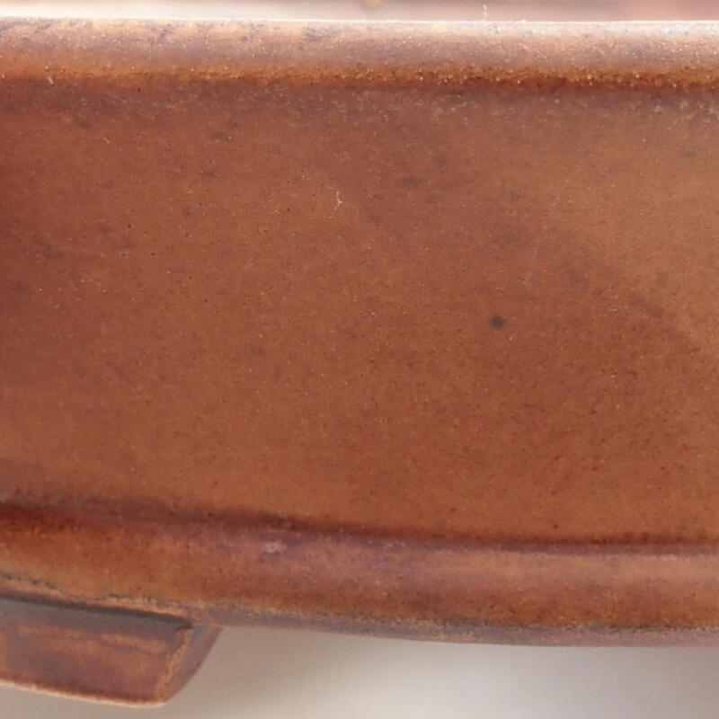 Ciotola per bonsai in ceramica 13,5 x 12 x 4 cm, marrone