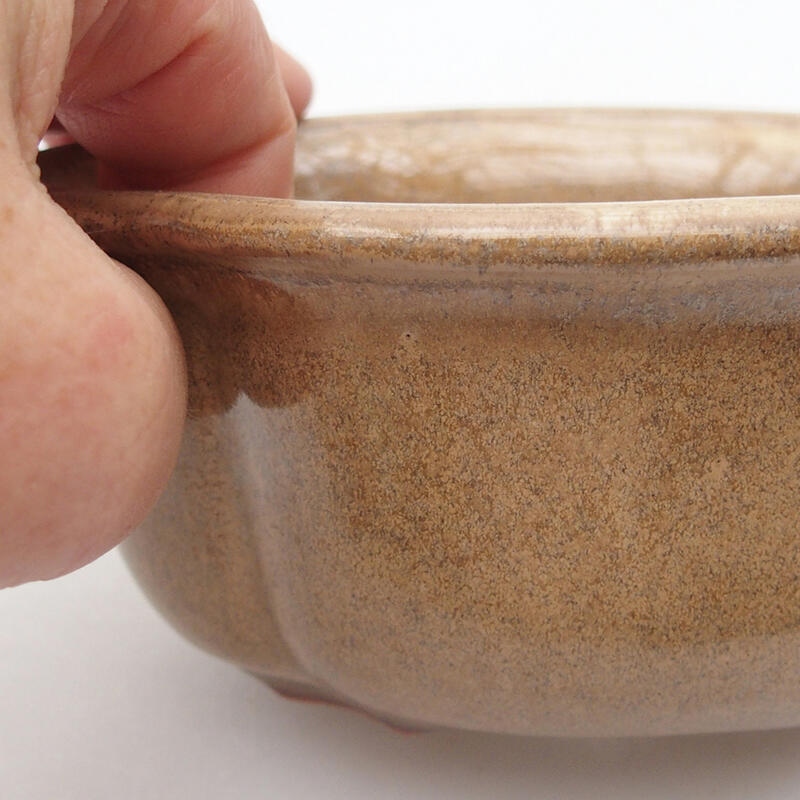 Ciotola per bonsai in ceramica 13 x 10,5 x 5,5 cm, marrone