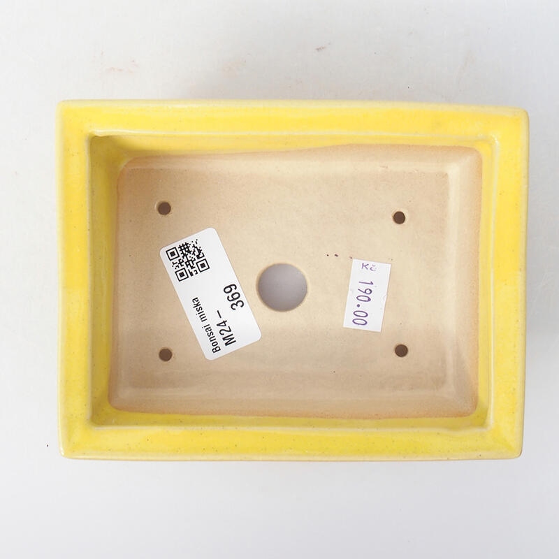 Ciotola bonsai in ceramica 13 x 10 x 3,5 cm, giallo