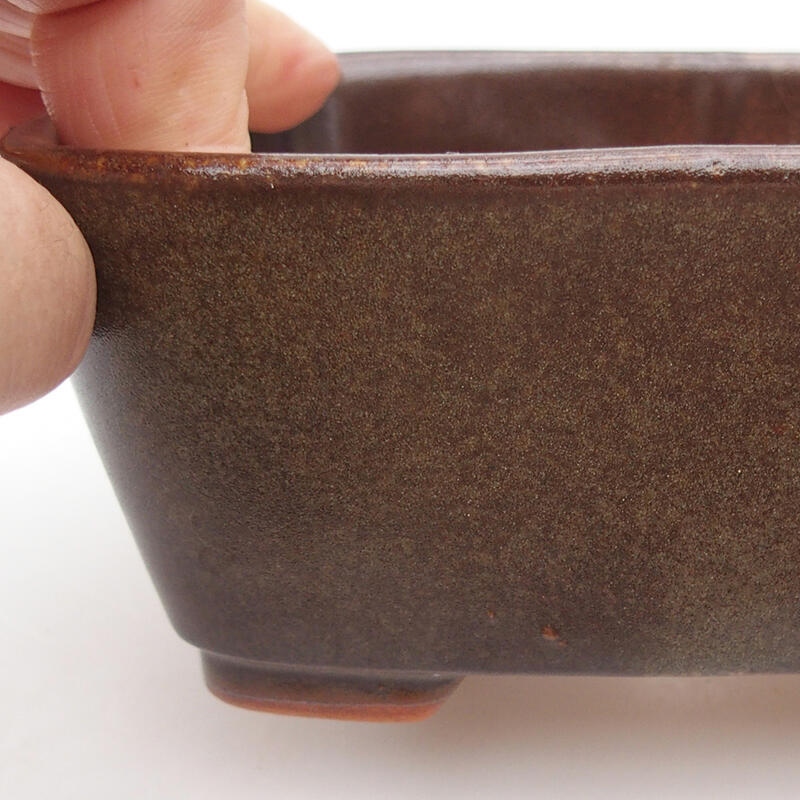 Ciotola per bonsai in ceramica 13 x 10 x 5,5 cm, marrone