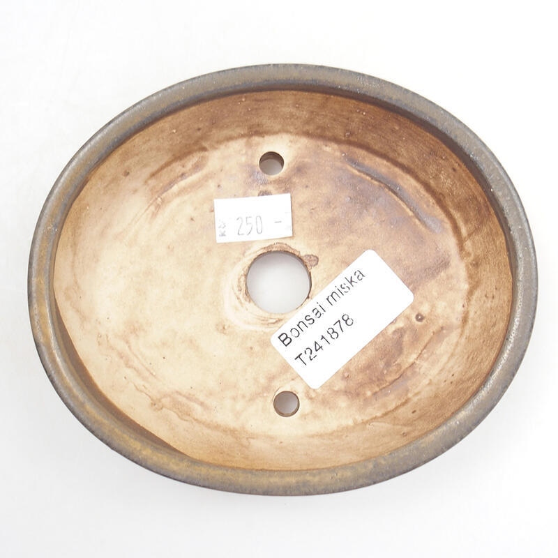 Ciotola per bonsai in ceramica 13 x 11 x 3,5 cm, marrone