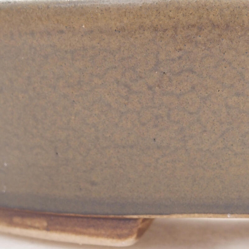 Ciotola per bonsai in ceramica 13 x 11 x 3,5 cm, marrone