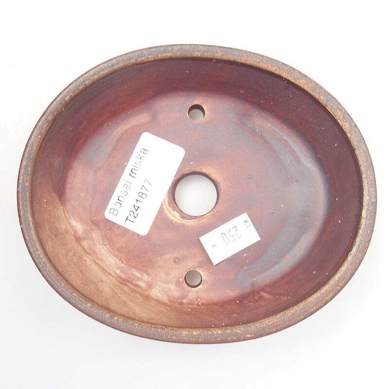 Ciotola per bonsai in ceramica 13 x 11 x 3,5 cm, marrone