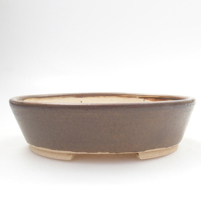 Ciotola per bonsai in ceramica 13 x 11 x 3,5 cm, marrone