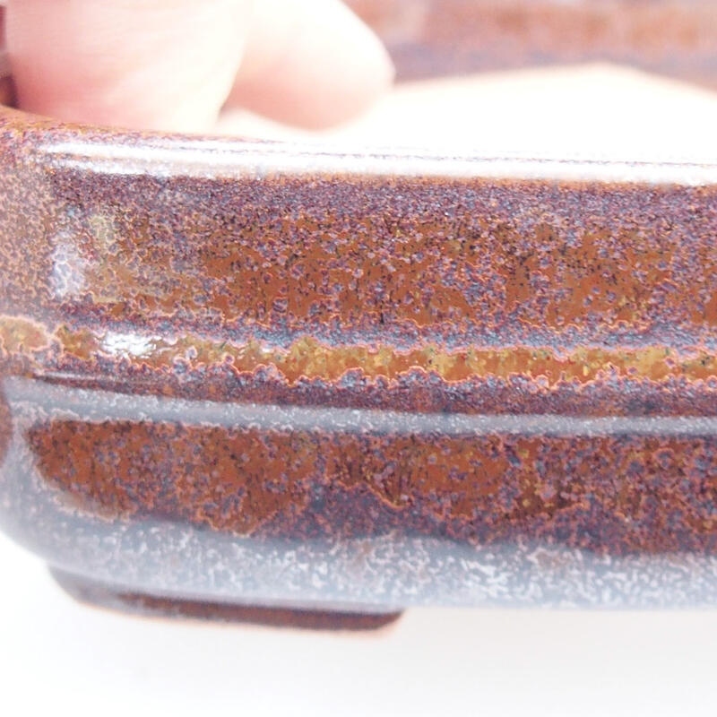 Ciotola per bonsai in ceramica 13 x 11 x 4 cm, marrone