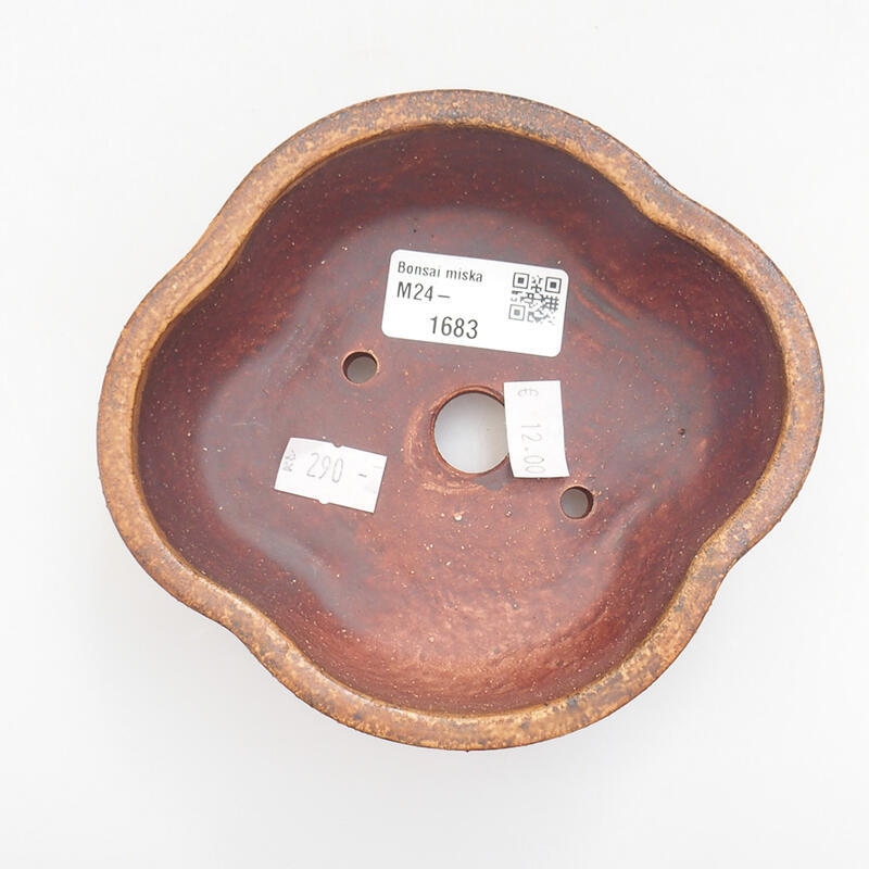 Ciotola bonsai in ceramica 13 x 12 x 5 cm, arancione