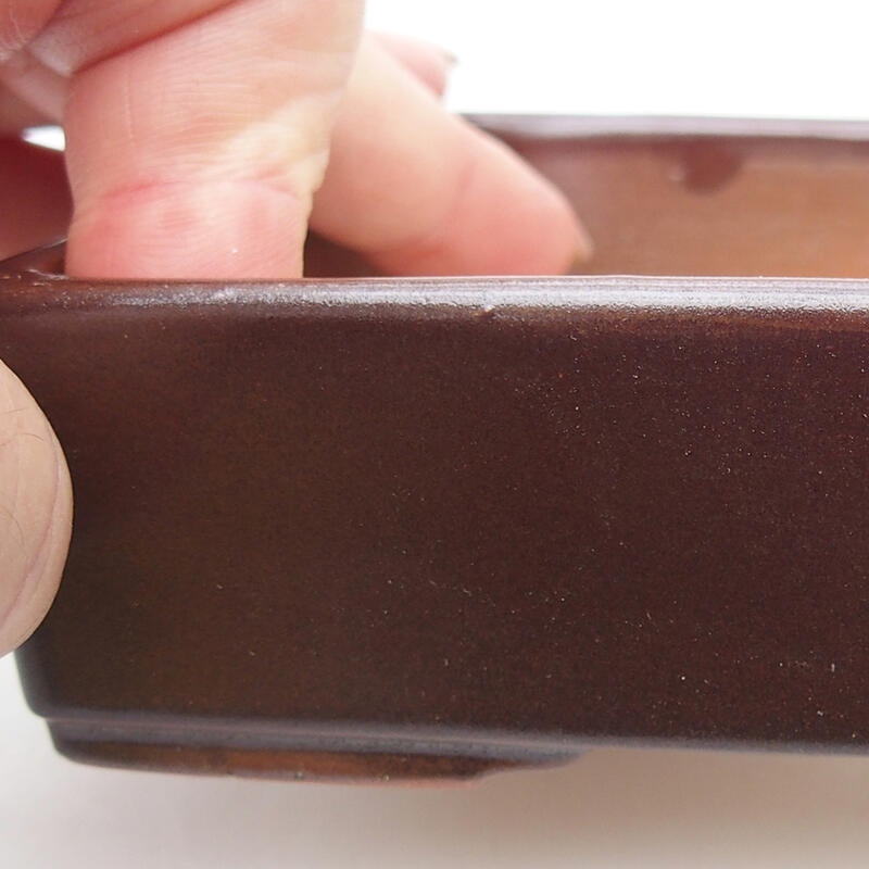 Ciotola per bonsai in ceramica 13 x 9,5 x 3 cm, marrone