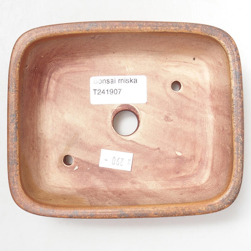 Ciotola per bonsai in ceramica 14,5 x 12 x 4 cm, colore marrone