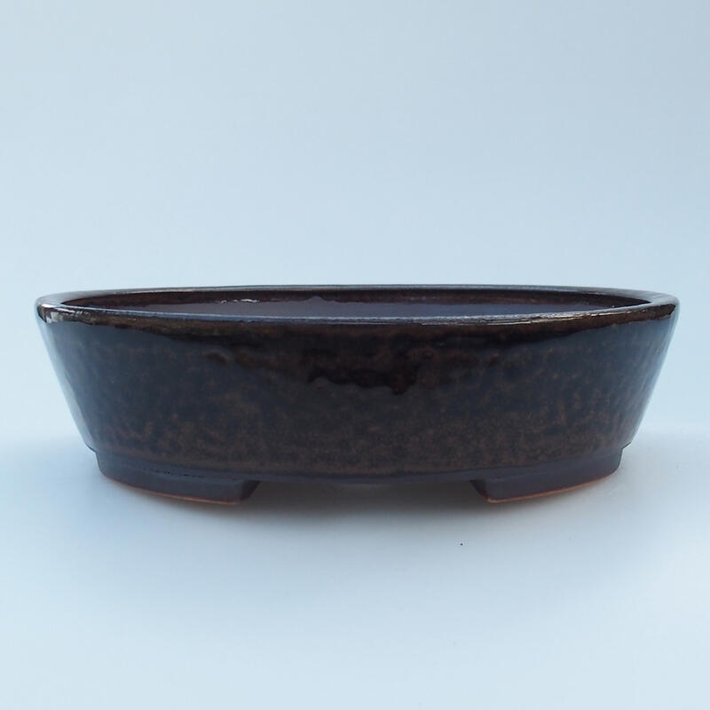 Ciotola per bonsai in ceramica 14,5 x 13,5 x 4 cm, nero-marrone