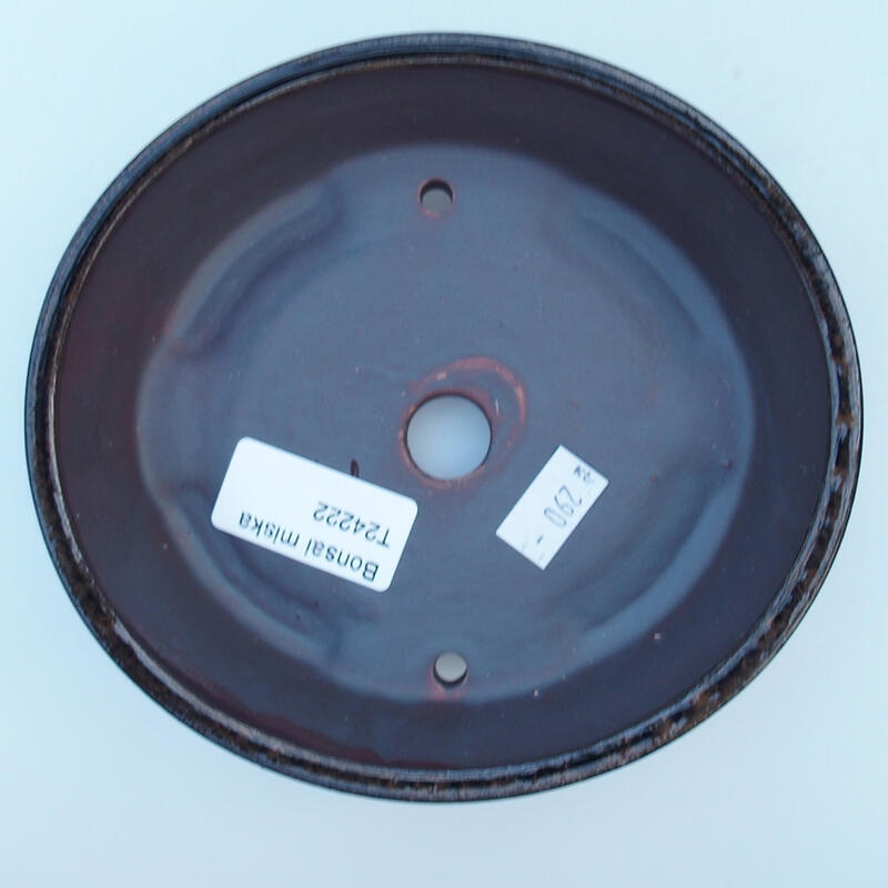 Ciotola per bonsai in ceramica 14,5 x 13,5 x 4 cm, nero-marrone